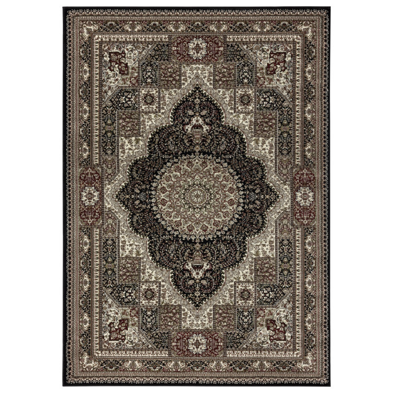 Devansh Oriental Indoor Rug, Rectangle 3'9" x 5'9"