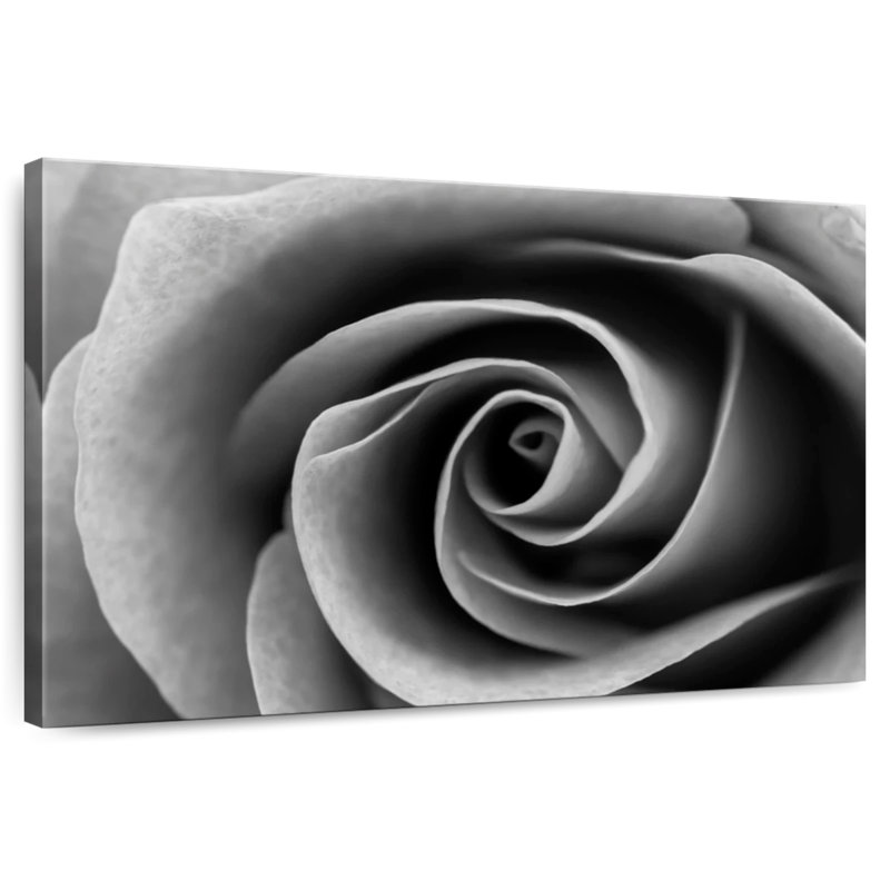 Harnek My Pretty Rose