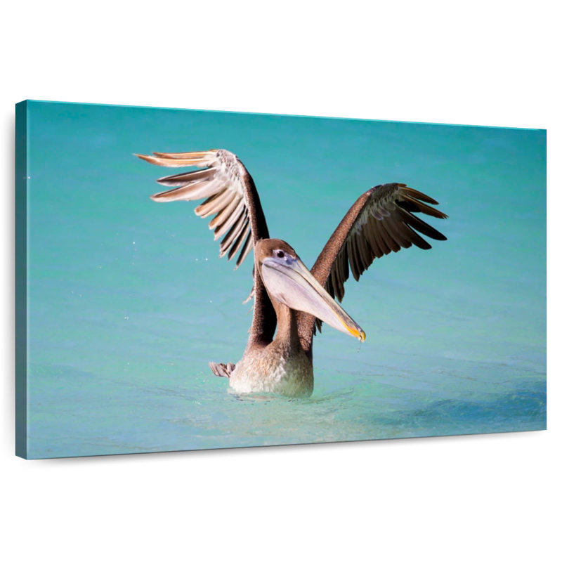 Pelican With Outstretched Wings, 32" H x 48" W