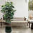 Antique Glossy Finish 4 - Piece Planter, And Frost With Built In Drainage For Indoor/Outdoor Spaces, 13.6" L X W 11.75" H, 36.9 Lbs Pieces Ceramic Flowerpot In , All Weather Plant Root Health,-381722881