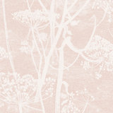 Cow Parsley Floral Wallpaper Roll