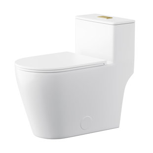 Modern Elongated Toilet with Gold Flush Button One-Piece Bathroom Toilet Bowl, Quiet Close Seat