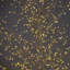 Birch Tree with Warm White LED Lights-63383336-63383335