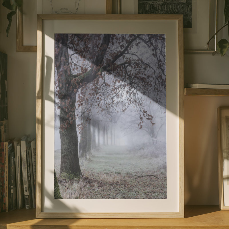 Wrapped Canvas Print