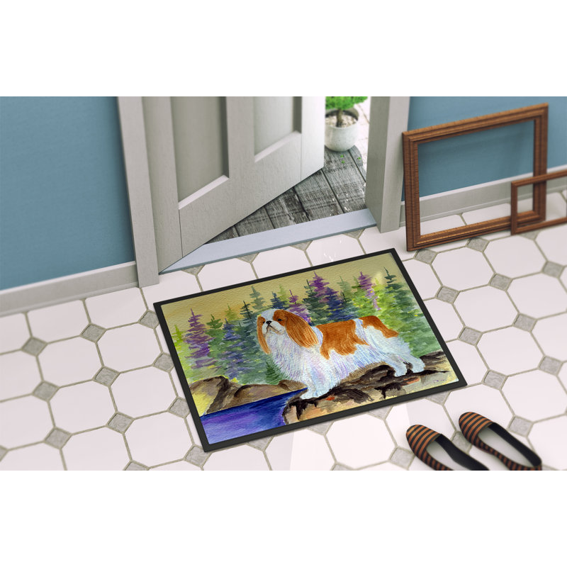 Non-Slip Indoor Doormat, Rectangle 2' x 3'