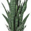 Plante de serpent artificielle Sansevieria en pot-2050088148