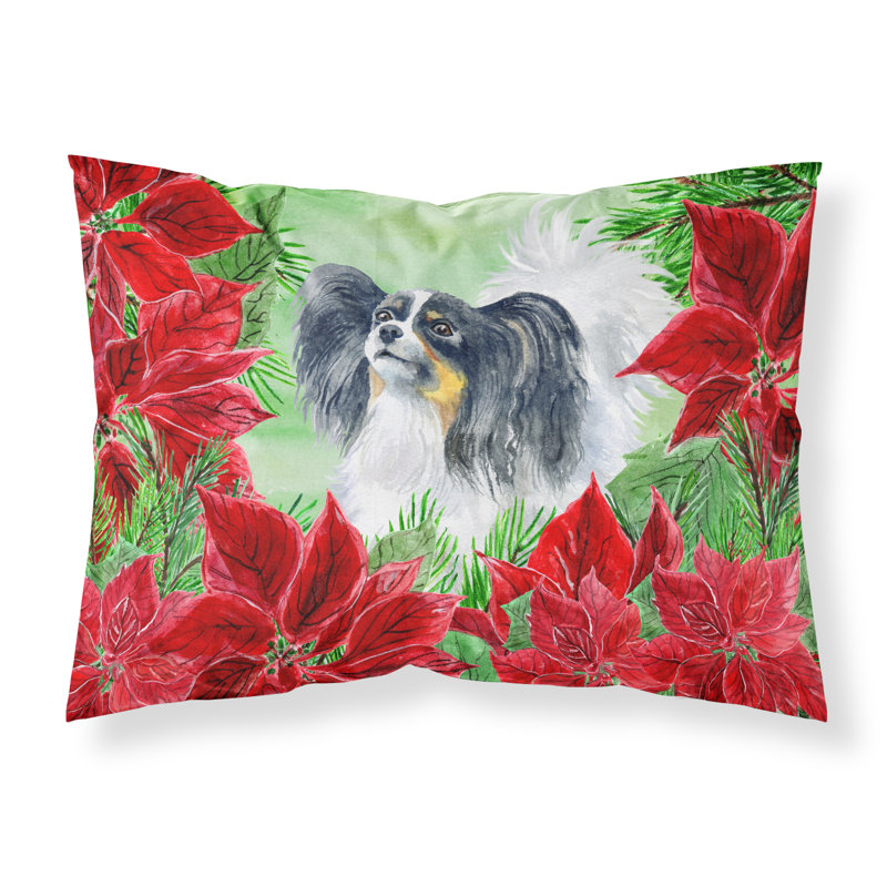 Microfiber, Papillon
