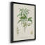 Antique Ammond Botanical II, reproduction d'art encadrée-88436511-88436513