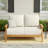 Cotesfield 54.25'' Wide Teak Loveseat with Cushions-1662435008
