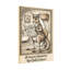 Bath & Laundry, australien, salle de presse, correspondant de Roo-1161650213