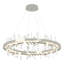 Solitude Circular LED Chandelier-557064383