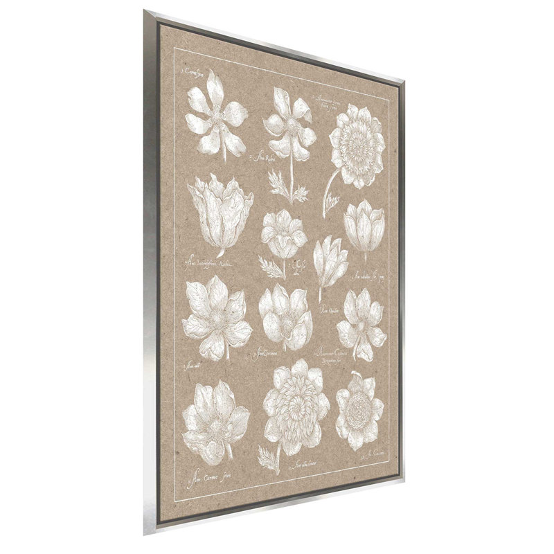 " Anemone Plate I " Painting Print, 27.5" W x 43.5" H, Silver Framed