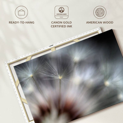 Harnek Dandelion Fireworks
