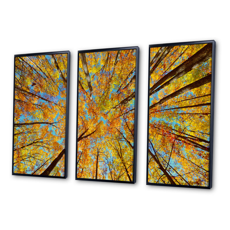 «Tree Tops In Autumn Forest», photographie sur toile flottante 3 pièces, Cadre noir, H 28 po x l 36 po x P 1 po