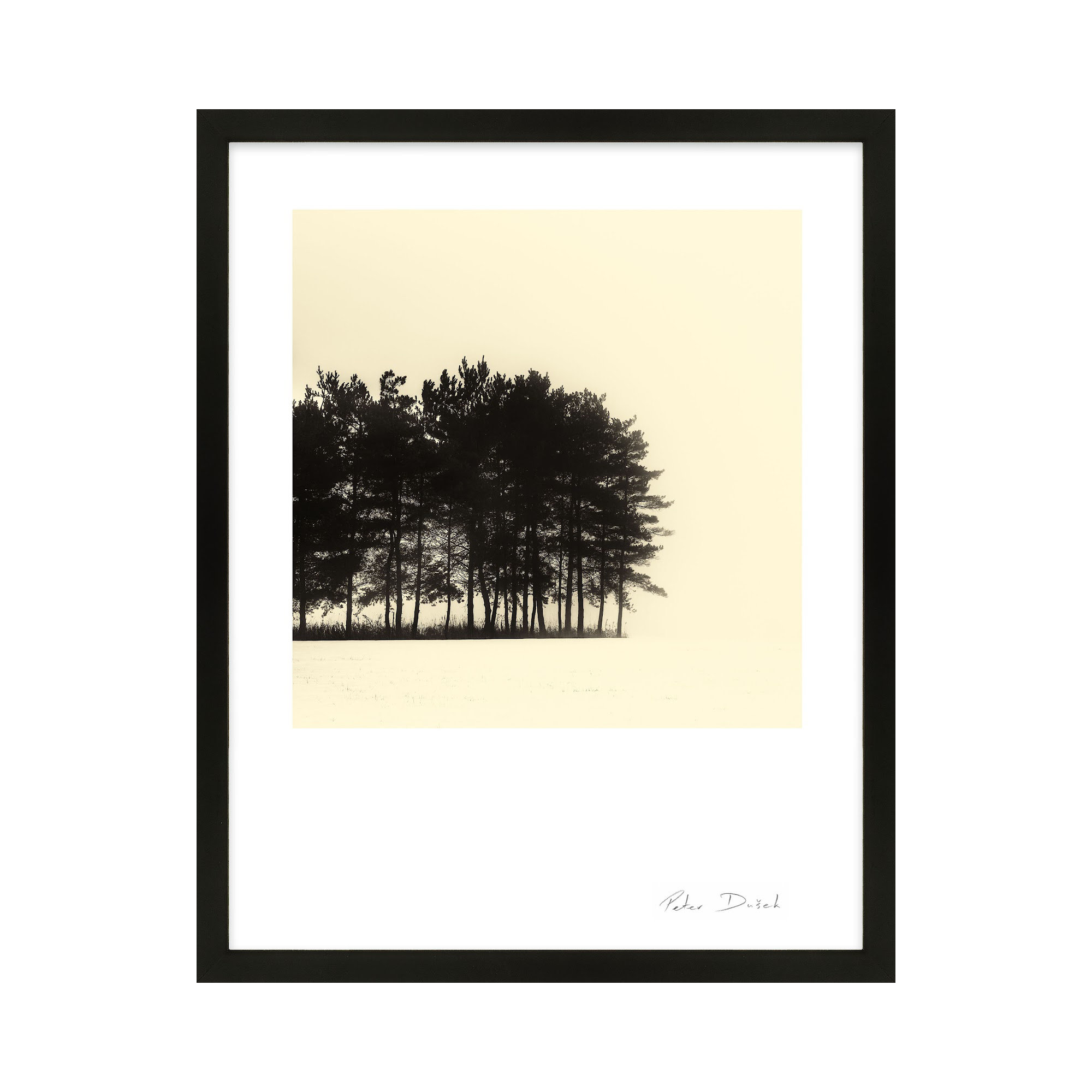Copse by Peter Dušek, 38" H x 30" W x 1.25" D, Black
