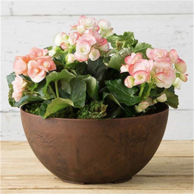 Paraic Pot Planter