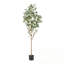 ARBRE EUCALYPTUS ARTIFICTIF 180CM