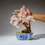 Genuine Quartz Gemstone Bonsai Tree In Square Ceramic Pot (11€ Tall)