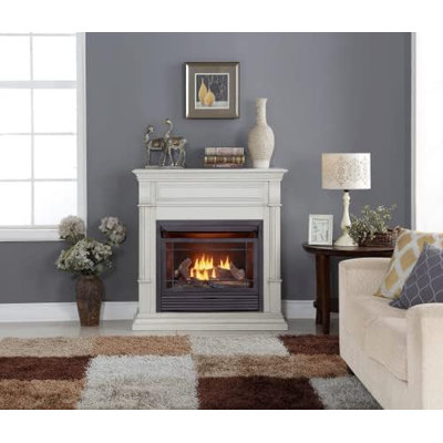 Duluth Forge Vented Natural Gas Log Set With Remote Control Kit-30 in., 65,000BTU Model#FNVL30-1-RO