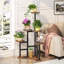 Support pour plante en bois massif Gracie-Lou-1780343067