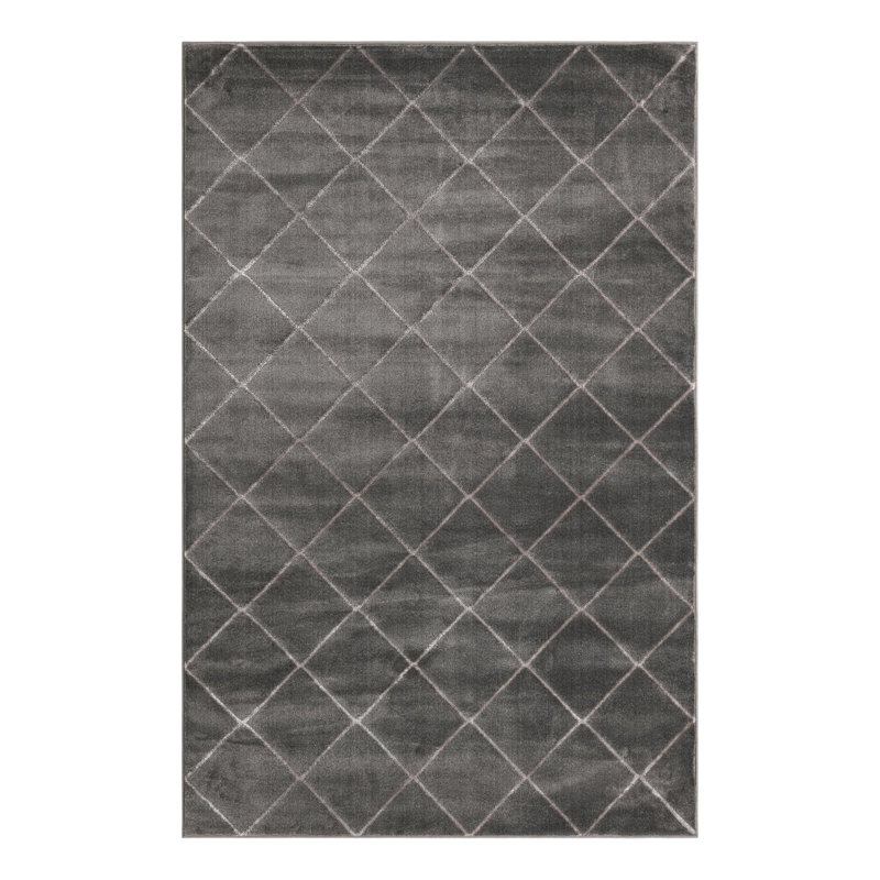 Tapis à carreaux gris et argent Latitude Run® Novica, Rectangle 6 pi 1 po x 9 pi
