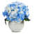 Blue/Cream