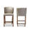 Yaeli Upholstered Counter Stool with Solid Wood Frame