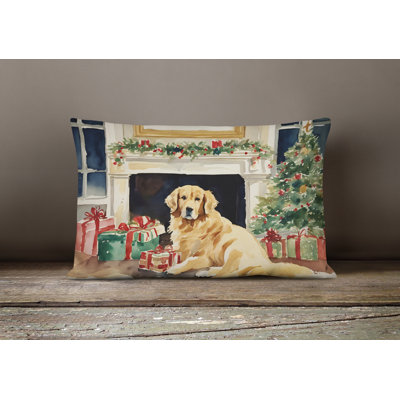 Other/No Pattern Outdoor Throw Pillow