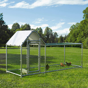 Poulailler 32,4 pi² Walk in