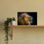 Majestic Lion Roar Contemporary Cat Lion Nature Wall Art Print-1227032299