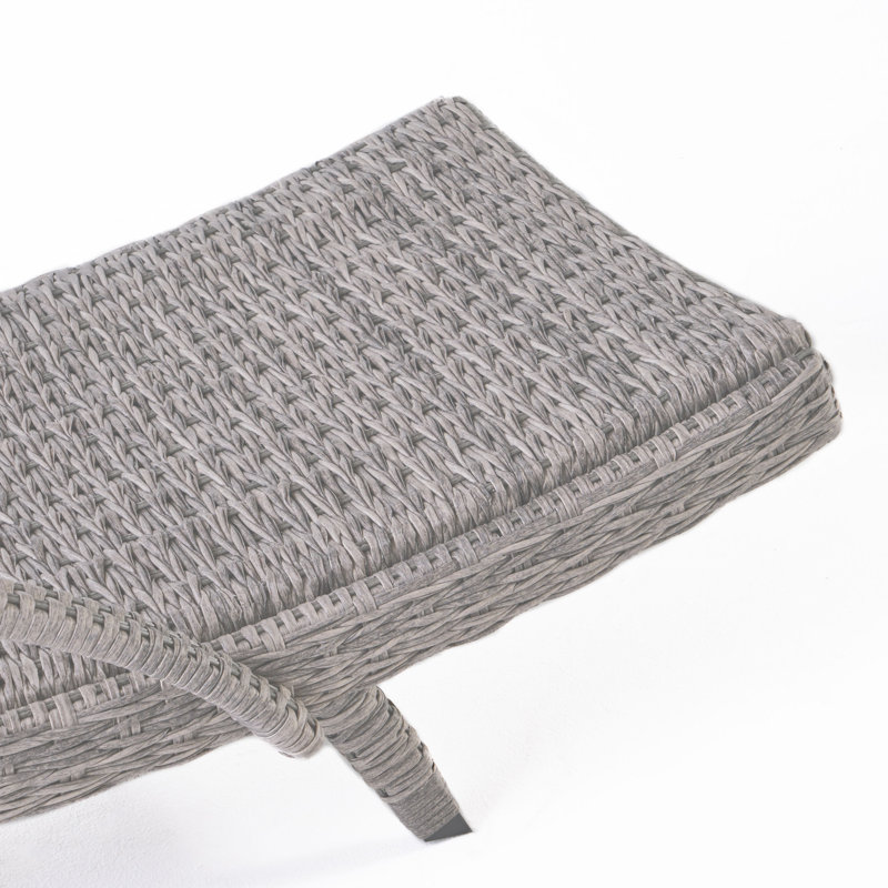 Keira Gray Faux Rattan and Aluminum Armed Chaise Lounger Set