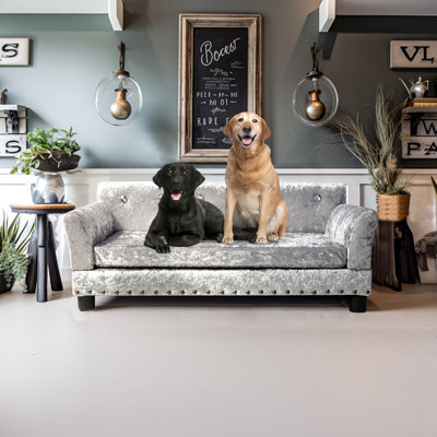 Canapé pour chien