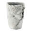 Ensemble de 2 pots de fleurs décoratifs 6,5 x 6 x 8,5 po