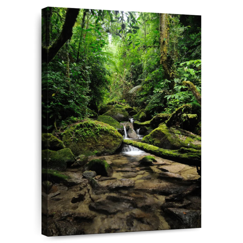 Hannes Jungle Falls, 24" H x 16" W
