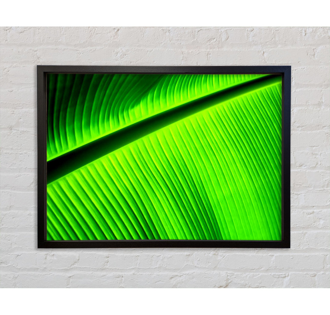 Light Of The Green Leaf - Einzelner Bilderrahmen Kunstdrucke auf Leinwand