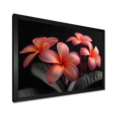 Neumann - Plumeria Wall Art Living Room