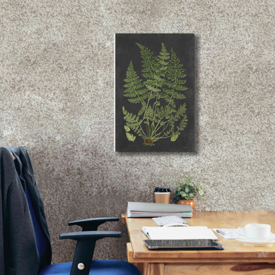 «Fern Study» par Lettered & Lined, estampe numérique sur toile