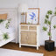 Petite armoire de rangement Friscia Mid Century Modern