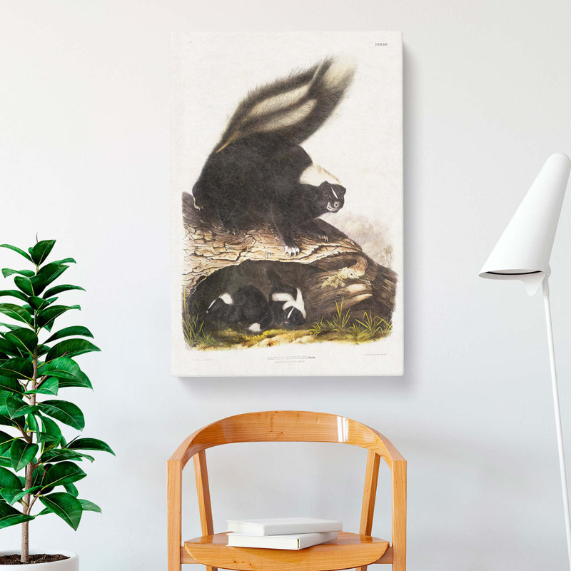 American Skunks - Wrapped Canvas Painting, 76cm H x 50cm W x 3cm D