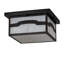 Ozie 2 - Light Flush Mount