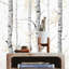 Cestaric Birchwood Wallpaper