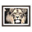 Lion - Picture Frame Graphic Art Print-56859969-56859972