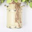 Arrangement d'hortensias en pot-510998305