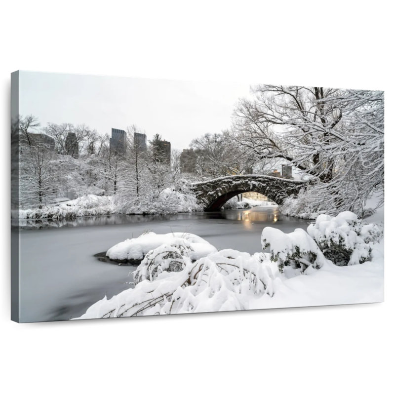 Nicci NYC Central Park Winter, 30" H x 45" W