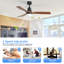 Ceiling Fan with LED Lights