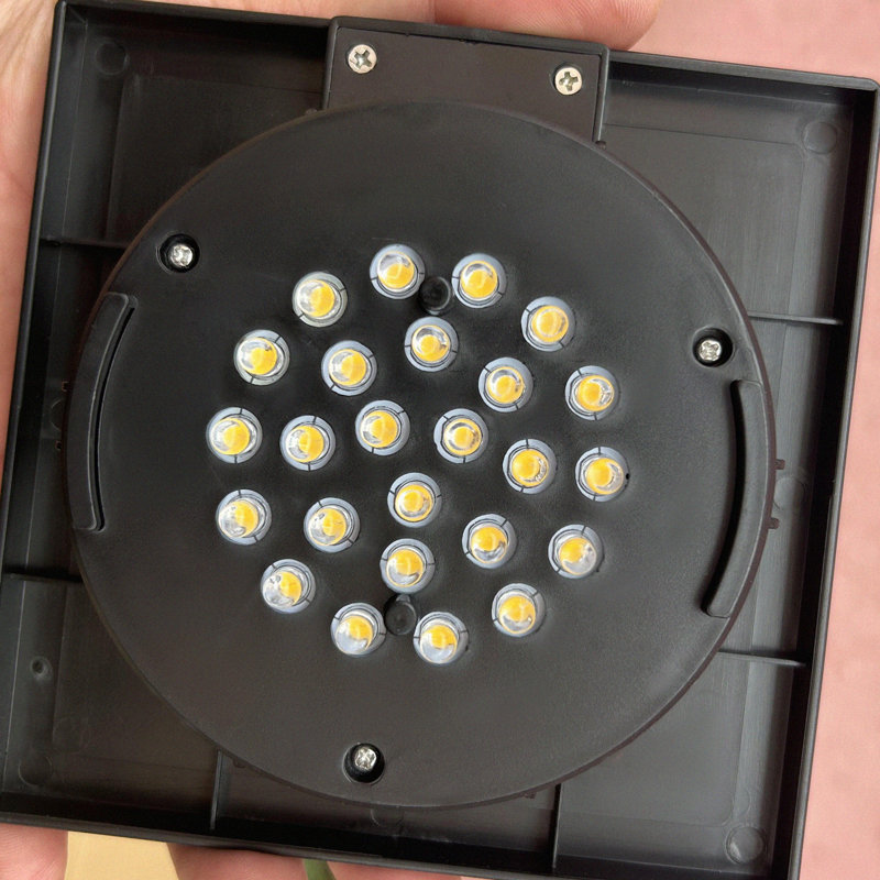 Brisilda Stainless Steel Solar Powered Integrated LED Pathway Light