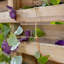 Wood Planter Box