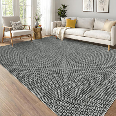 Modren Machine Washable Rug for Living Room Tiny Plaid Indoor Carpet for Home Decor Aesthetic Non-Slip Rug for Bedroom Dining Room Office Nursery Playroom Teen Dorm