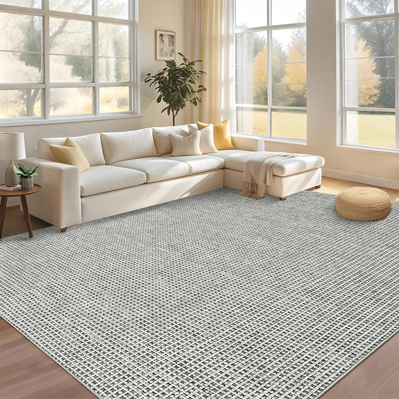 Modren Machine Washable Rug for Living Room Tiny Plaid Indoor Carpet for Home Decor Aesthetic Non-Slip Rug for Bedroom Dining Room Office Nursery Playroom Teen Dorm