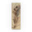 «Feather Study Single Feather» par Albena Hristova - reproduction sur toile-33412578